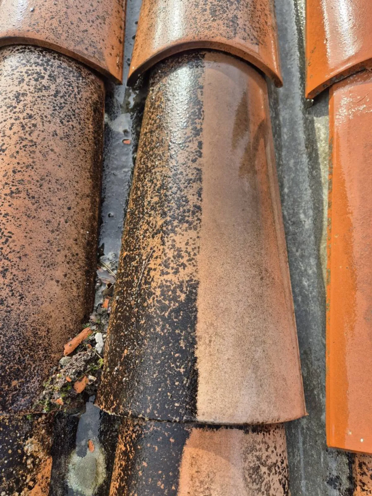 Nettoyage toiture tuiles Essonne